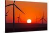 Washington, Walla Walla. Windmills. Stateline Wind Project-Brent Bergherm-Stretched Canvas