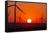 Washington, Walla Walla. Windmills. Stateline Wind Project-Brent Bergherm-Framed Stretched Canvas