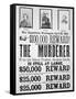 Washington War Department Poster Announcing a $100,000 Reward For Finding the Murderer of Lincoln-null-Framed Stretched Canvas