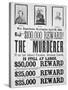 Washington War Department Poster Announcing a $100,000 Reward For Finding the Murderer of Lincoln-null-Stretched Canvas