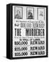 Washington War Department Poster Announcing a $100,000 Reward For Finding the Murderer of Lincoln-null-Framed Stretched Canvas