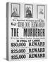 Washington War Department Poster Announcing a $100,000 Reward For Finding the Murderer of Lincoln-null-Stretched Canvas