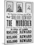 Washington War Department Poster Announcing a $100,000 Reward For Finding the Murderer of Lincoln-null-Mounted Giclee Print