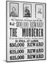 Washington War Department Poster Announcing a $100,000 Reward For Finding the Murderer of Lincoln-null-Mounted Giclee Print