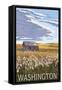 Washington - Wheat Field and Shack-Lantern Press-Framed Stretched Canvas