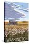 Washington - Wheat Field and Shack-Lantern Press-Stretched Canvas