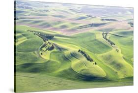 Washington, Whitman County. Aerial Photography in the Palouse Region of Eastern Washington-Julie Eggers-Stretched Canvas