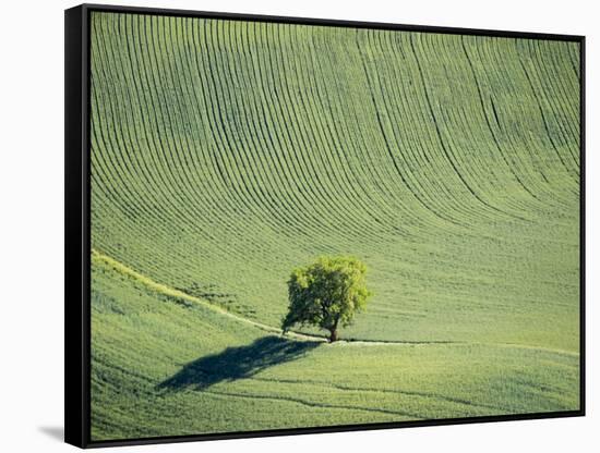 Washington, Whitman County. Aerial Photography in the Palouse Region of Eastern Washington-Julie Eggers-Framed Stretched Canvas