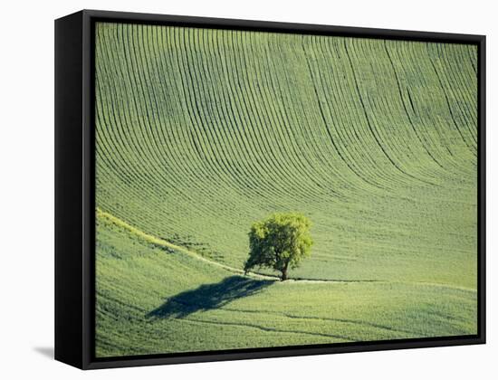 Washington, Whitman County. Aerial Photography in the Palouse Region of Eastern Washington-Julie Eggers-Framed Stretched Canvas