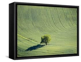 Washington, Whitman County. Aerial Photography in the Palouse Region of Eastern Washington-Julie Eggers-Framed Stretched Canvas