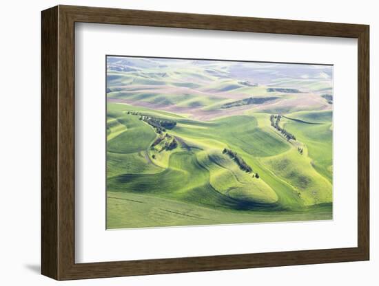 Washington, Whitman County. Aerial Photography in the Palouse Region of Eastern Washington-Julie Eggers-Framed Photographic Print