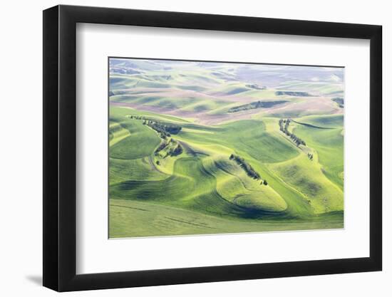 Washington, Whitman County. Aerial Photography in the Palouse Region of Eastern Washington-Julie Eggers-Framed Photographic Print