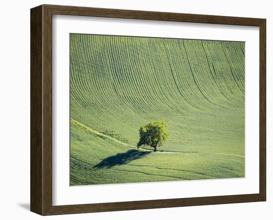 Washington, Whitman County. Aerial Photography in the Palouse Region of Eastern Washington-Julie Eggers-Framed Photographic Print