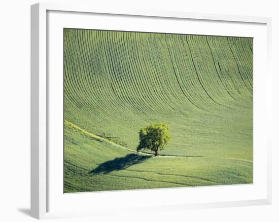 Washington, Whitman County. Aerial Photography in the Palouse Region of Eastern Washington-Julie Eggers-Framed Photographic Print