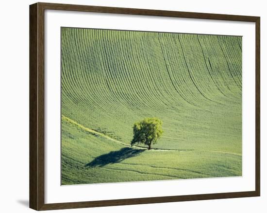 Washington, Whitman County. Aerial Photography in the Palouse Region of Eastern Washington-Julie Eggers-Framed Photographic Print