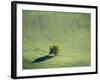 Washington, Whitman County. Aerial Photography in the Palouse Region of Eastern Washington-Julie Eggers-Framed Photographic Print