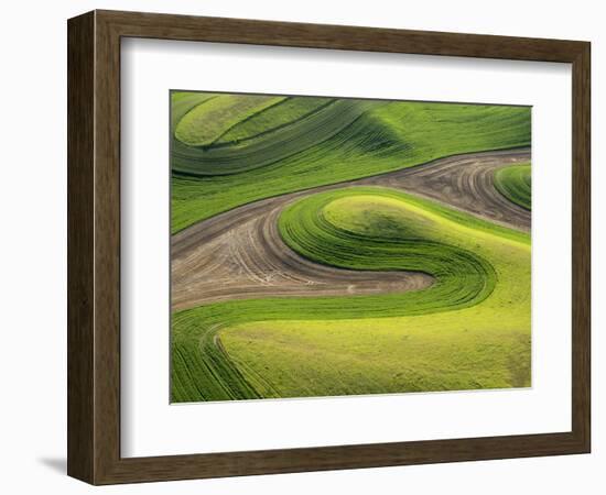 Washington, Whitman County. Aerial Photography in the Palouse Region of Eastern Washington-Julie Eggers-Framed Photographic Print