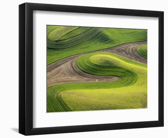 Washington, Whitman County. Aerial Photography in the Palouse Region of Eastern Washington-Julie Eggers-Framed Photographic Print