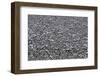 Washington-Art Wolfe-Framed Photographic Print