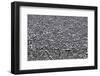 Washington-Art Wolfe-Framed Photographic Print