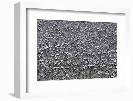 Washington-Art Wolfe-Framed Photographic Print