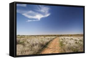 Washita Battlefield, Black Kettle National Grasslands, Oklahoma, USA-Walter Bibikow-Framed Stretched Canvas