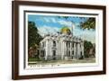 Brown Frame