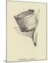 Washtubbia Circularis-Edward Lear-Mounted Giclee Print