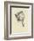 Washtubbia Circularis-Edward Lear-Framed Giclee Print