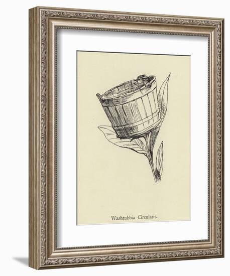 Washtubbia Circularis-Edward Lear-Framed Giclee Print