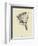 Washtubbia Circularis-Edward Lear-Framed Giclee Print