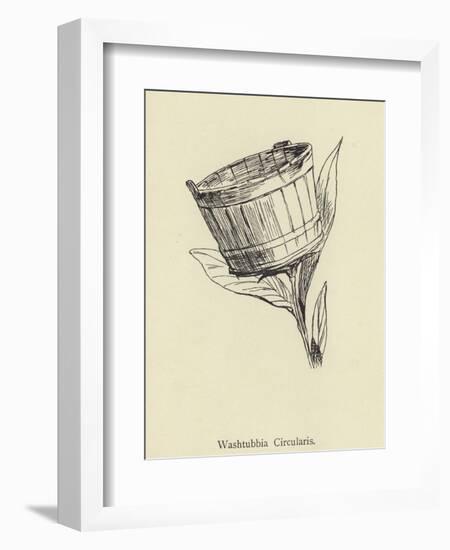 Washtubbia Circularis-Edward Lear-Framed Giclee Print