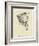 Washtubbia Circularis-Edward Lear-Framed Giclee Print