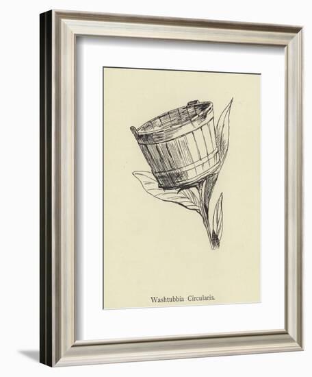 Washtubbia Circularis-Edward Lear-Framed Giclee Print