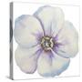 Washy Pansie-Jean Plout-Stretched Canvas