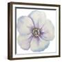 Washy Pansie-Jean Plout-Framed Giclee Print