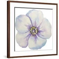 Washy Pansie-Jean Plout-Framed Giclee Print