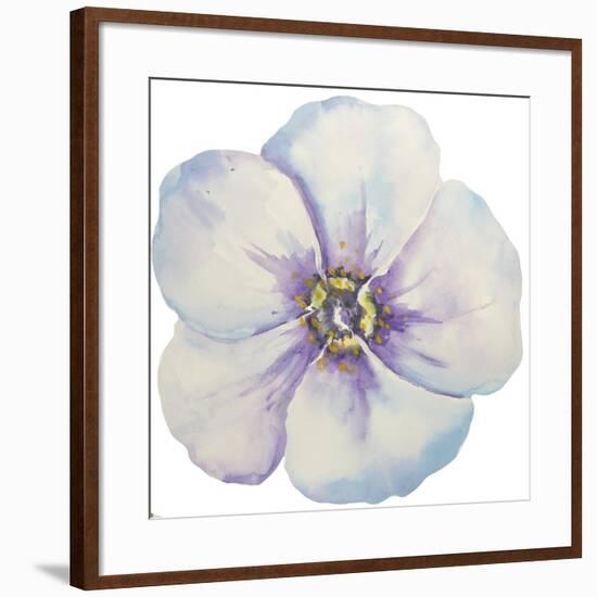 Washy Pansie-Jean Plout-Framed Giclee Print