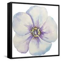 Washy Pansie-Jean Plout-Framed Stretched Canvas