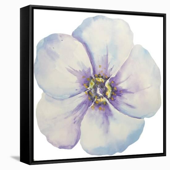 Washy Pansie-Jean Plout-Framed Stretched Canvas