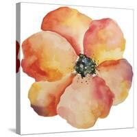 Washy Poppy-Jean Plout-Stretched Canvas