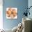 Washy Poppy-Jean Plout-Stretched Canvas displayed on a wall