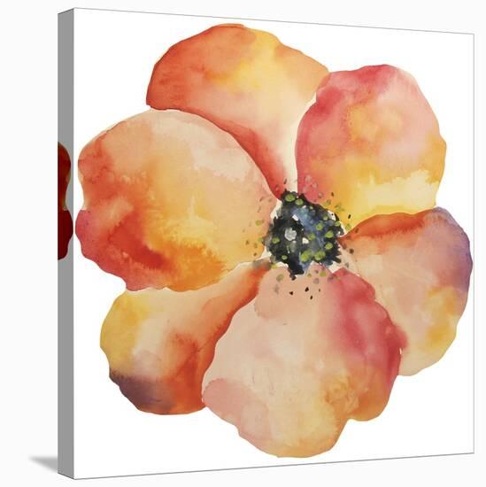 Washy Poppy-Jean Plout-Stretched Canvas