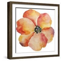 Washy Poppy-Jean Plout-Framed Giclee Print