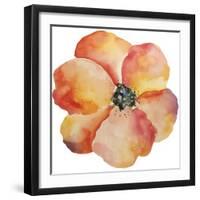 Washy Poppy-Jean Plout-Framed Giclee Print