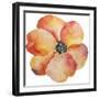 Washy Poppy-Jean Plout-Framed Giclee Print