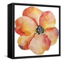 Washy Poppy-Jean Plout-Framed Stretched Canvas