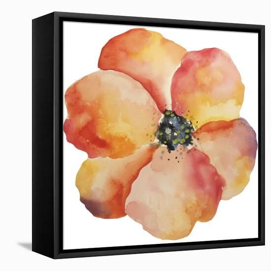 Washy Poppy-Jean Plout-Framed Stretched Canvas