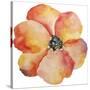 Washy Poppy-Jean Plout-Stretched Canvas