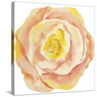 Washy Rose-Jean Plout-Stretched Canvas